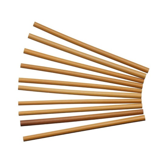 Natural Elements - 10 db bambuszból készült szívószál, 19 cm
