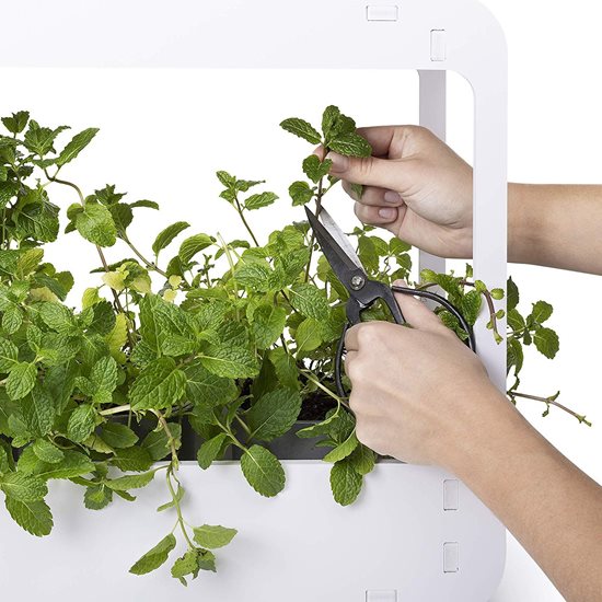 LED lámpa támogatás a növénynövekedéshez - Smartwares
