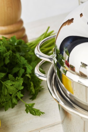 Fazék kagylóhoz, 20 cm/3 l, a Specialties termékcsaládból, rozsdamentes acél - Demeyere