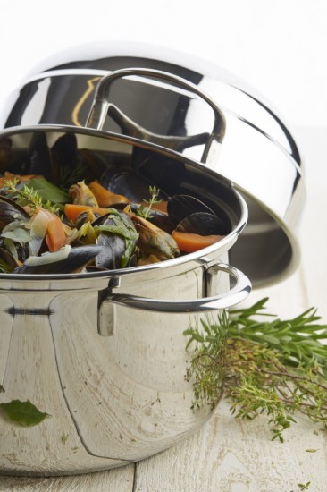 Fazék kagylóhoz, 20 cm/3 l, a Specialties termékcsaládból, rozsdamentes acél - Demeyere