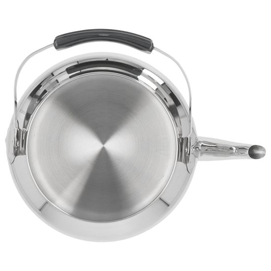 Demeyere teafőző 18 cm/6 L, "Specialties"