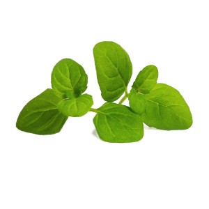 Veritable - "Lingot" Glaciale Menta vetőmag