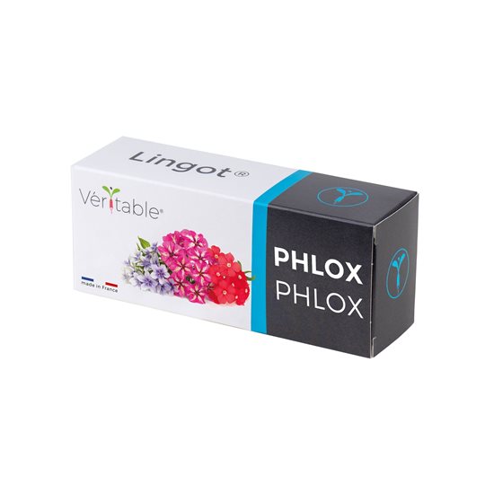 "Lingot" Phlox magok csomagja - "VERITABLE" márka