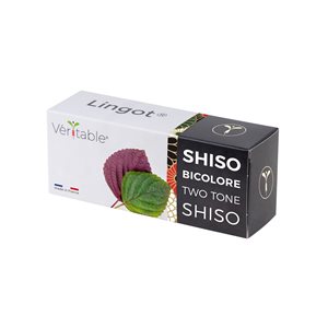 Shiso mag csomag, "Lingot", bicolor - "VERITABLE"