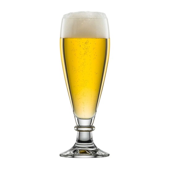 6 db söröspohár készlet, "BRUSSEL", 300 ml - Schott Zwiesel