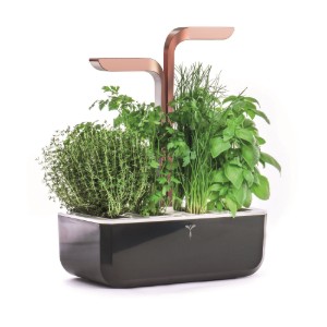 Ültetődoboz, 33 × 18,5 × 45 cm, "SMART Garden", Copper – Veritable