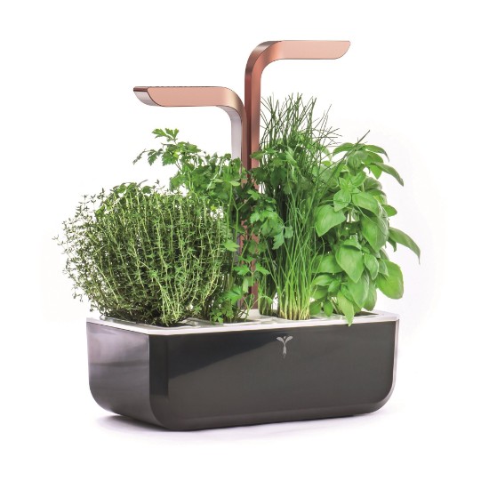 Ültetődoboz, 33 × 18,5 × 45 cm, "SMART Garden", Copper – Veritable