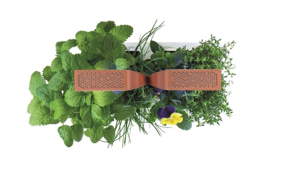 Ültetődoboz, 33 × 18,5 × 45 cm, "SMART Garden", Copper – Veritable
