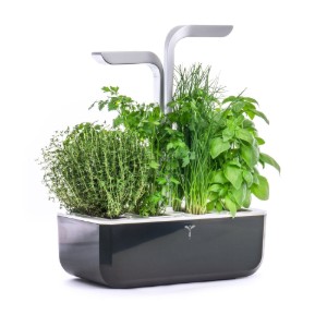 Veritable - "SMART Garden " Virágkaspó, 33 x 18,5 cm x 45 cm, Soft Black
