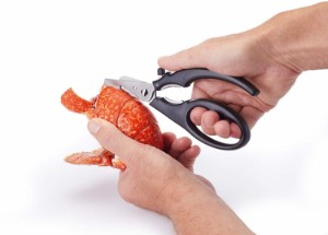 Kitchen Craft - "MasterClass" tengeri olló, rozsdamentes acél