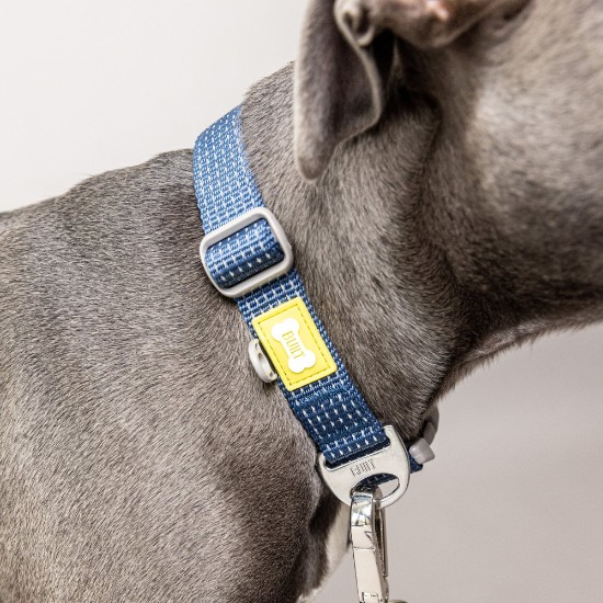Built Pet - Fényvisszaverő kutya nyakörv, nagy, kék