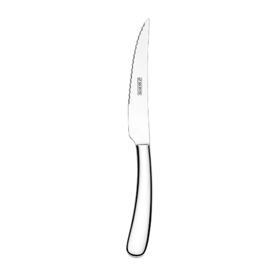 Professzionális steak kés, rozsdamentes acél, 23 cm - Monix