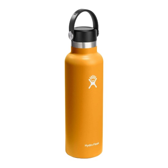 Hőszigetelt flakon, rozsdamentes acél, 620 ml, "Standard", Fossil - Hydro Flask