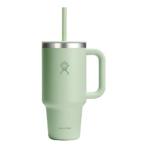 Hőszigetelt pohár, rozsdamentes acél, 950 ml, "All Around Travel", Aloe - Hydro Flask