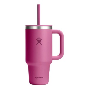 Hőszigetelt pohár, rozsdamentes acél, 950 ml, "All Around Travel", Reef - Hydro Flask