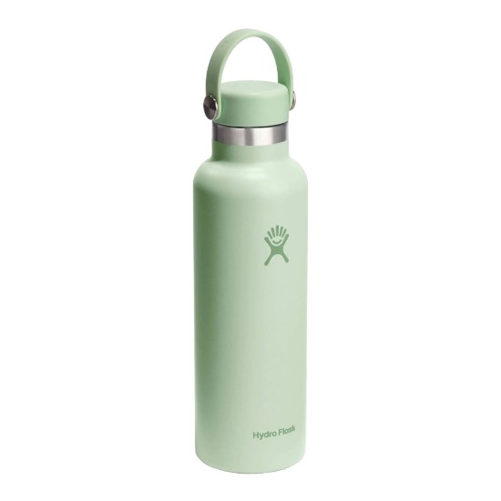 Hőszigetelt flakon, rozsdamentes acél, 620 ml, "Standard", Aloe - Hydro Flask