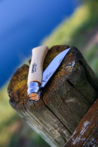 10-es zsebkés, rozsdamentes acél, 10 cm, buborékfólia, "Tradition Inox" - Opinel