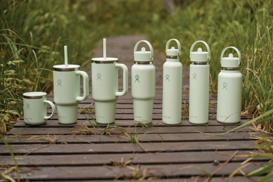 Hőszigetelt flakon, rozsdamentes acél, 620 ml, "Standard", Aloe - Hydro Flask