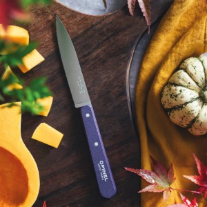 N°112 hámozó kés, rozsdamentes acél, 10 cm, "Les Essentiels", lila - Opinel