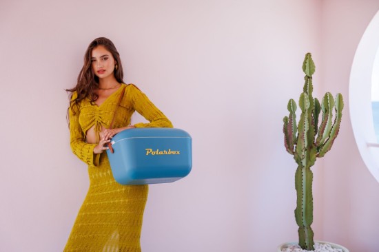 Hűtőláda, 20 L, "Classic", Marine - Mustard - Polarbox