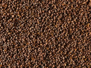 3 db vadpaprika tasak készlet, nepáli, 4x10g, "Timut" - Peugeot