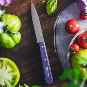 Fogazott pengéjű kés N°113, rozsdamentes acél, 10 cm, "Les Essentiels", lila - Opinel