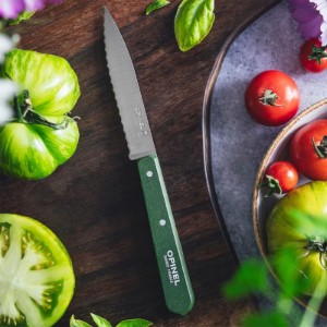 Fogazott pengéjű kés N°113, rozsdamentes acél, 10 cm, "Les Essentiels", zöld - Opinel