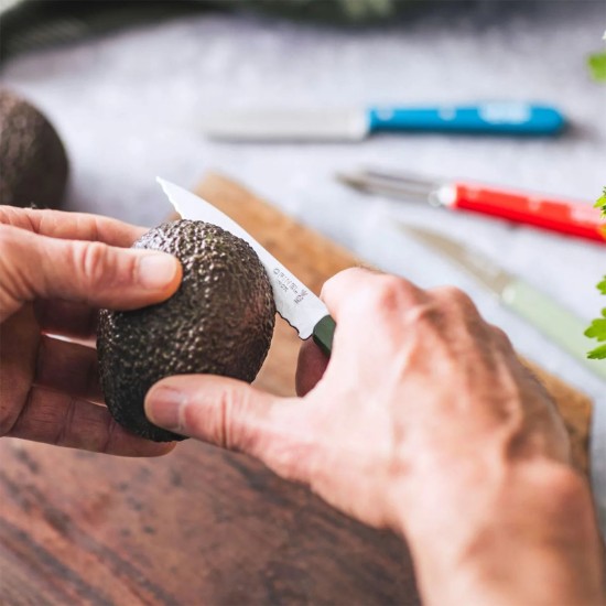Fogazott pengéjű kés N°113, rozsdamentes acél, 10 cm, "Les Essentiels", zöld - Opinel