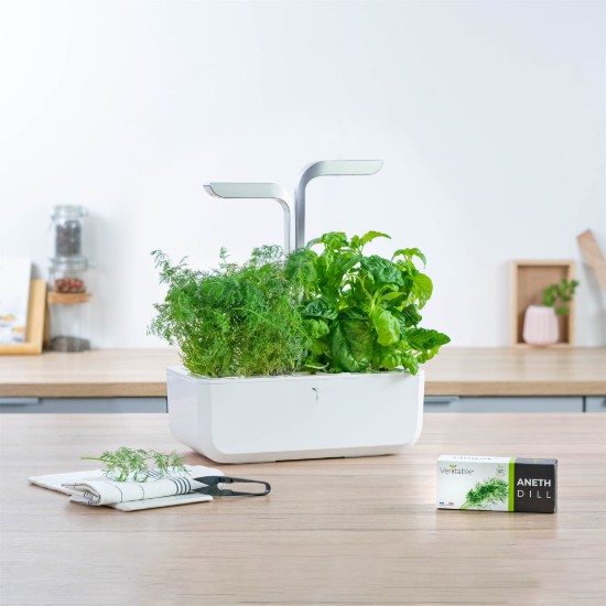 Csomag "Lingot" kapor magvakkal - "VERITABLE"