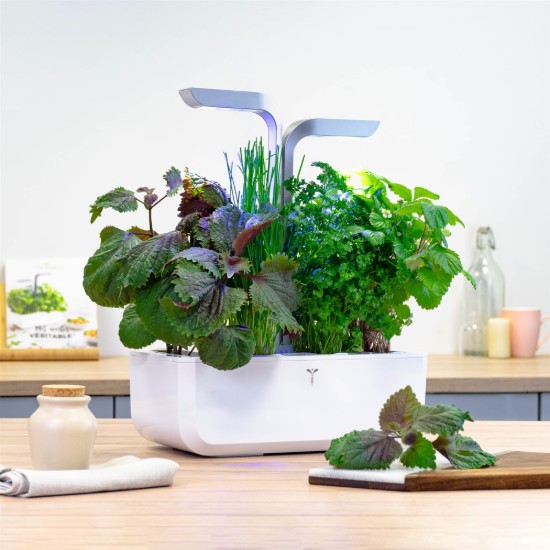 Shiso mag csomag, "Lingot", bicolor - VERITABLE márka