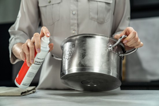 Tisztító spray rozsdamentes acélhoz, 250 ml, "ZWILLING Plus" - Zwilling