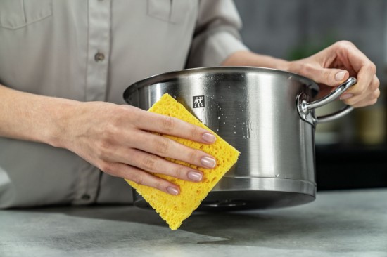 Tisztító spray rozsdamentes acélhoz, 250 ml, "ZWILLING Plus" - Zwilling