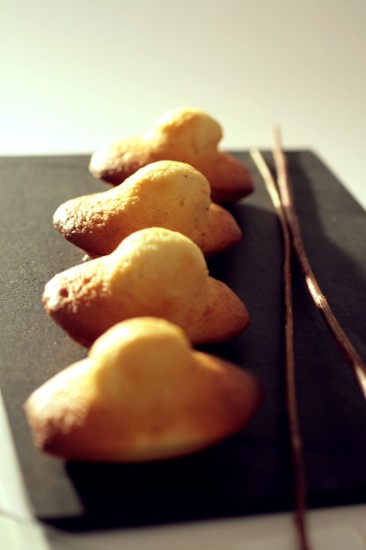 Szilikon forma 9 madlenhez, 30 x 17,6 cm - "de Buyer" márka