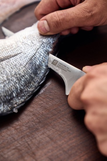 Filé kés, 14 cm, <<ZWILLING Pro>> - Zwilling