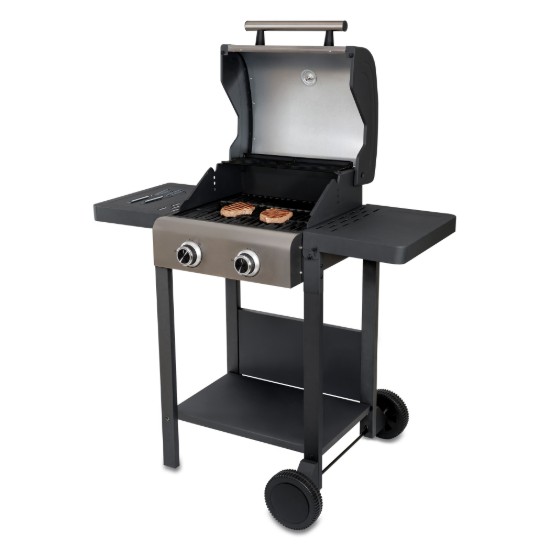 Kerti elektromos grill Buddy, 2600W - Unold