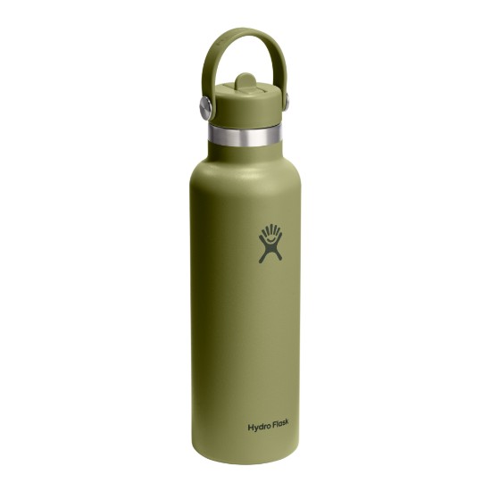 Hőszigetelő palack, rozsdamentes acél, 620ml, "Standard Straw", Palmer Green - Hydro Flask